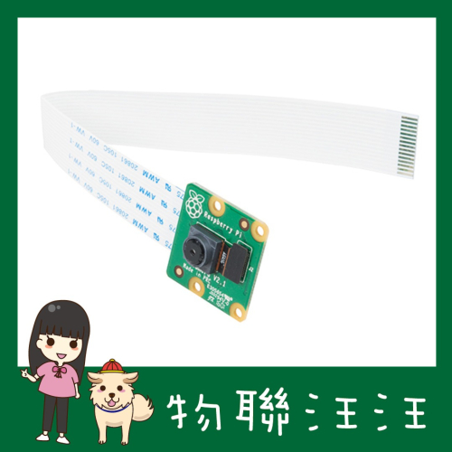 [物聯汪汪] 含稅附發票~ 原廠正版二代 Raspberry Pi 樹莓派相機 8MP camera v2八百萬畫素