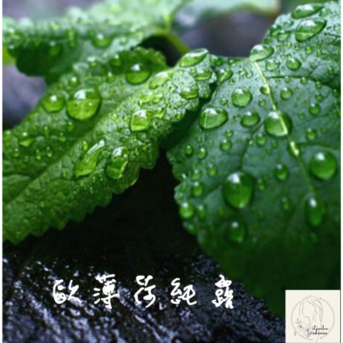 艾莉森嚴選 飽和純露 ~歐薄荷純露~ 酷暑最佳夥伴適合男性使用 願再次與你相遇的清香