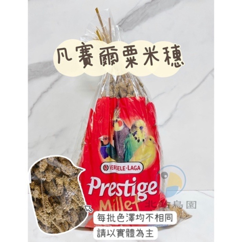 凡賽爾粟米穗 / 小型鸚鵡、雀鳥科零食 / 1kg