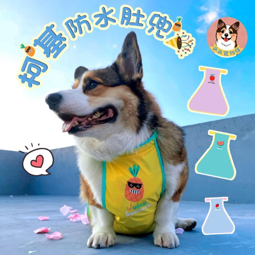 ?柯基肚兜? 柯基 寵物肚兜 柯基衣服 臘腸狗衣服 寵物衣服 狗衣服 狗狗衣服 寵物服飾 寵物背心 臘腸狗 夏天圍兜兜
