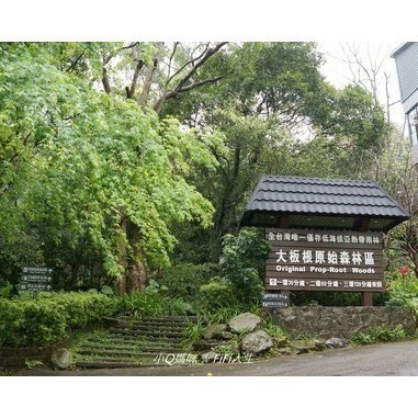 大板根森林溫泉渡假村 入園門票 持券探索恐龍森林 贈品券/逾期無效