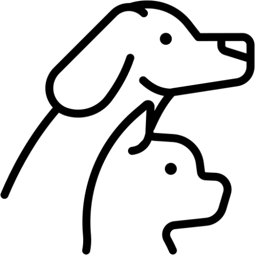 冷凍