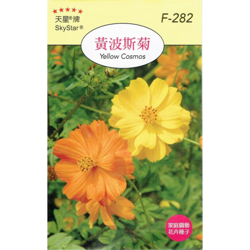 四季園 黃波斯【穗耕種苗】天星牌 花卉原包裝種子 花語: 野性美、難以接近 新鮮種子
