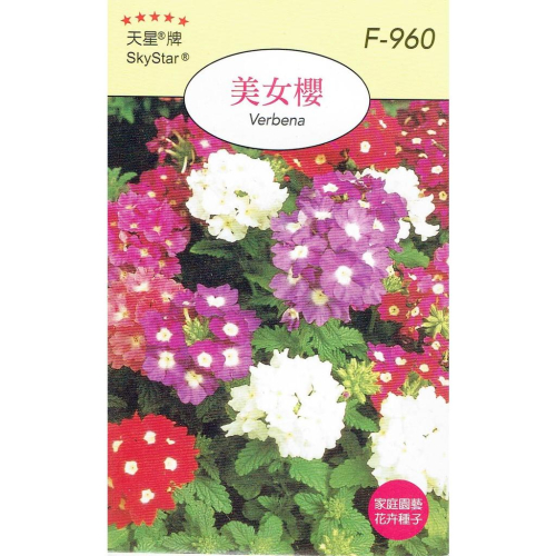 四季園 美女櫻【穗耕種苗】天星牌 花卉原包裝種子 花語: 相守，和睦家庭 保證新鮮種子