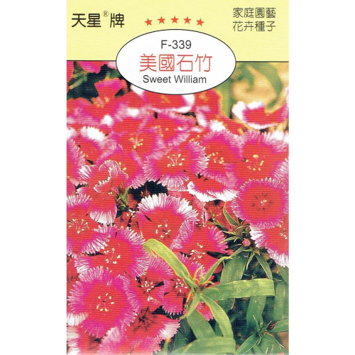 四季園 美國石竹【穗耕種苗】天星牌 花卉原包裝種子 花語:母親的愛 保證新鮮種子