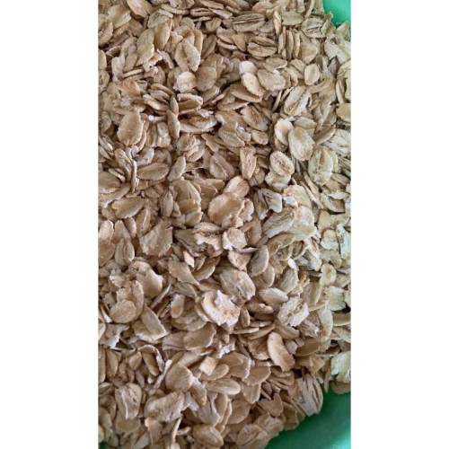 現貨 600g 澳洲大燕麥片 即沖即食燕麥片 熟燕麥 沖泡燕麥 早餐