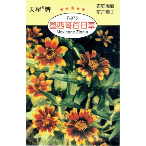四季園 墨西哥百日草【穗耕種苗】天星牌 花卉原包裝種子 花語: 想念遠方的友人 友誼天長地久 保證新鮮種子