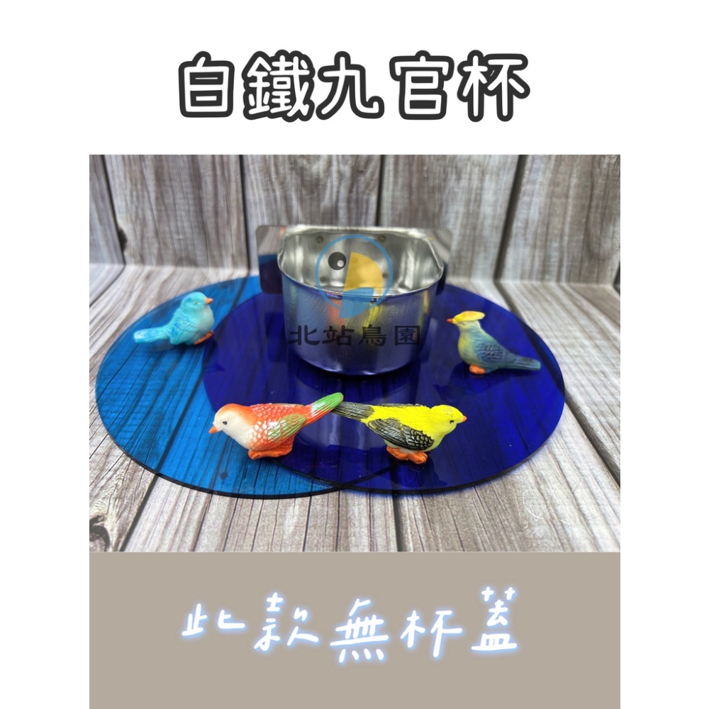 白鐵九官杯短版 / 耐用 / 耐磨損