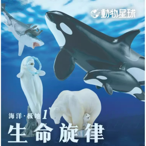 【Sammitoys】預購 動物星球 生命旋律系列 第一彈 盒抽 一中盒