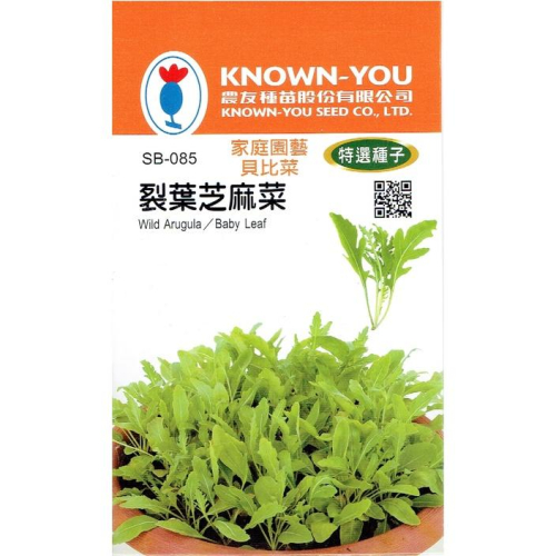 四季園 裂葉芝麻菜 【農友種苗】特選蔬菜種子 baby菜 播種期春-秋季 30天可採收