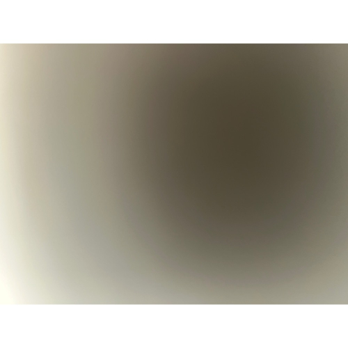 你的東東2