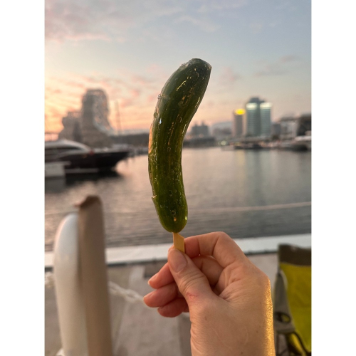 有機小黃瓜糖葫蘆(這是直接給一串的)