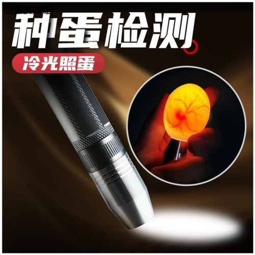 照蛋器手電筒驗蛋孵蛋孵化機器專用照蛋燈種蛋檢查可充電冷光led