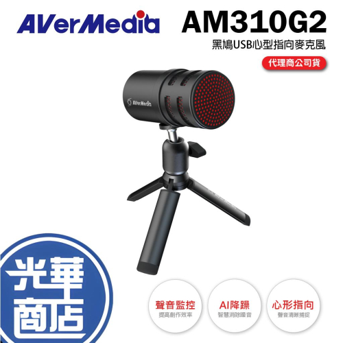 AVerMedia 圓剛 VERSATI go AM310G2 黑鳩USB心型指向麥克風 USB麥克風 麥克風