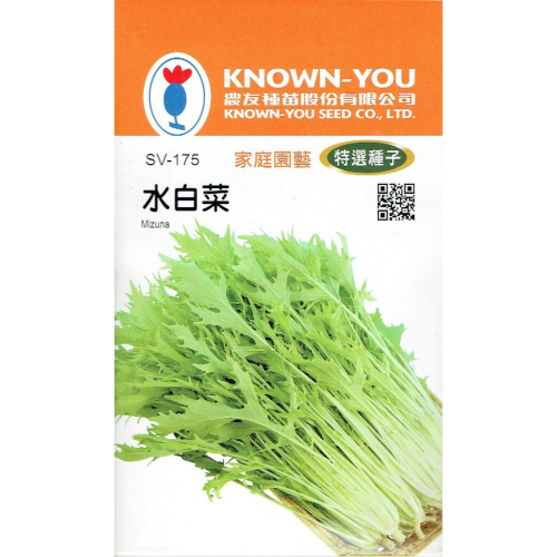 四季園 水白菜【農友種苗】特選蔬菜種子 原包裝種子 每包約10公克(g) 保證新鮮種子