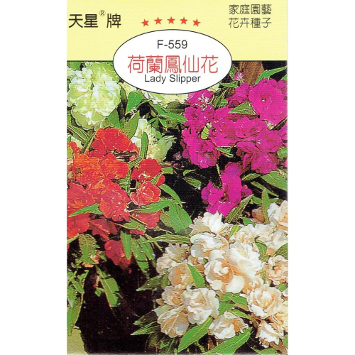四季園 荷蘭鳳仙花【穗耕種苗】鳳仙花 天星牌花卉原包裝種子 新鮮種子