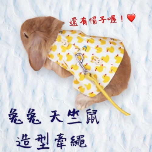 兔子衣服 天竺鼠牽繩 帽子 可愛牽繩 牽引繩兔兔 寵物牽繩 幼貓貓咪垂耳兔裝飾品服飾 兔兔出遊牽引繩服飾