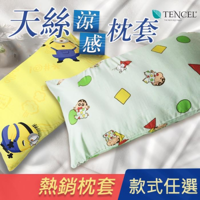 團購價 現貨 快速出貨 ｜ 100%天絲信封式枕套正40支 1對2入 枕套 【蝦皮團購】