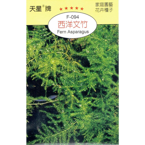 四季園 西洋文竹【穗耕種苗】天星牌 花卉原包裝種子 花語:幸福的祈禱 新鮮種子