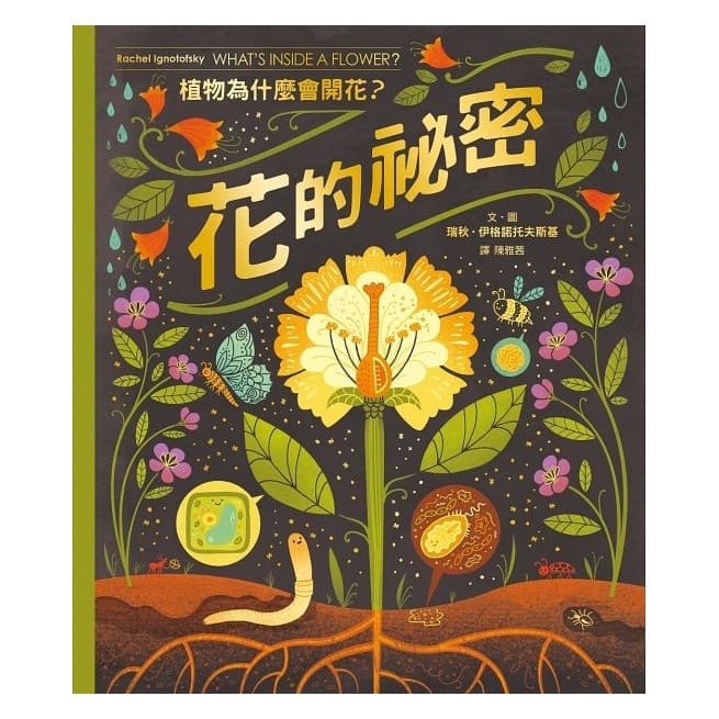 遠流/花的祕密：植物為什麼會開花？