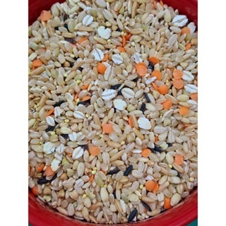 【附發票】養生八穀米 1200g/1800g/3000g