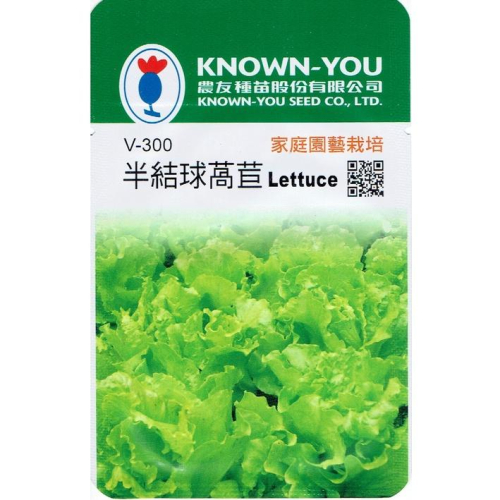 半結球萵苣 【農友種苗】又稱義大利生菜 蔬菜種子 每包約1公克 全年可栽種 保證新鮮種子