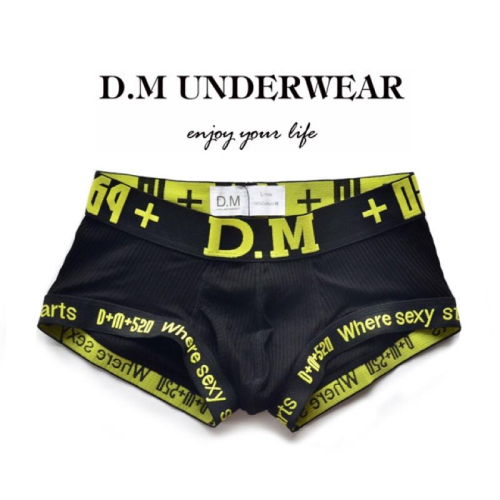 「知名品牌合身四角」 D.M三角四角內褲 後空丁字褲 低腰 性感內褲 U凸囊袋 男士純色 運動內褲 彩虹旗 gay