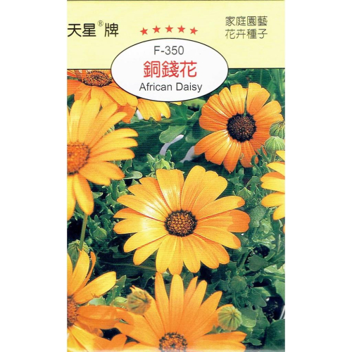 四季園 銅錢花 【穗耕種苗】天星牌 花卉原包裝種子 保證新鮮種子