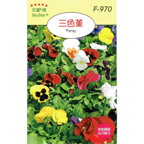 四季園 三色蓳 【穗耕種苗】天星牌 花卉原包裝種子 保證新鮮種子