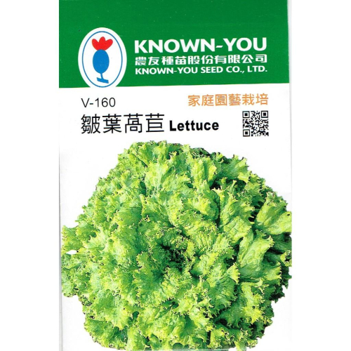 四季園 捲葉萵苣 皺葉萵苣 農友種苗 蔬菜種子 保證新鮮種子