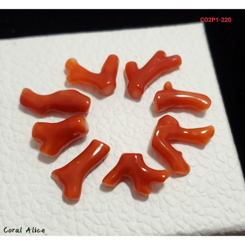 ?Coral珊寶手作-天然阿卡珊瑚自然枝段 12.5-20.9mm CO2P1-220