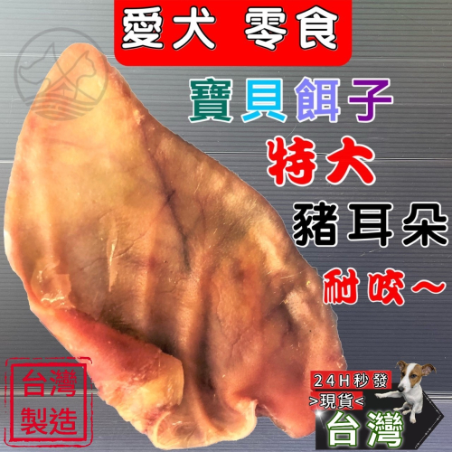 ★JIA★ 豬耳朵(一片裝) 碳烤豬耳朵 犬 狗 獎勵 訓練 零食 點心 零嘴 寶貝餌子