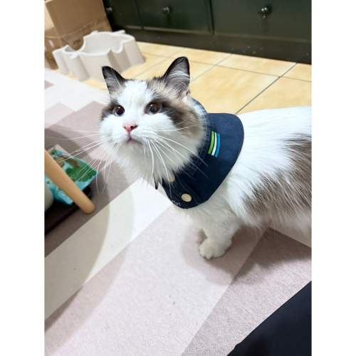 全家貓咪制服