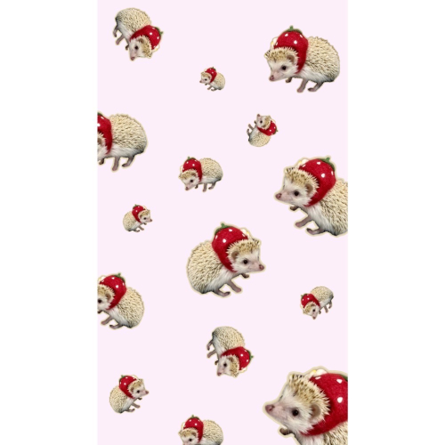 泡泡瑪特