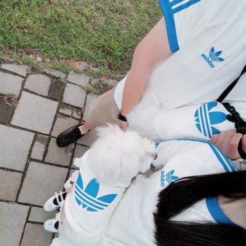 【預購】adidas originals 上海限定寵物系列代購 愛迪達寵物親子裝 adicolor 運動短袖 短T賣場