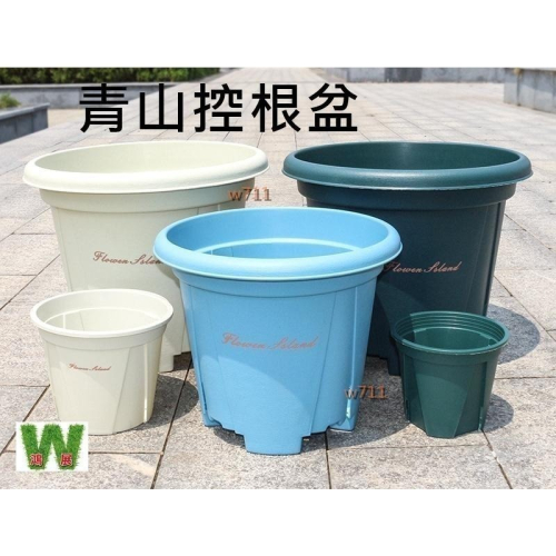 青山盆 花盆 多肉 w711鴻展 青山盆 青山控根盆 透氣 控根 花盆 多肉