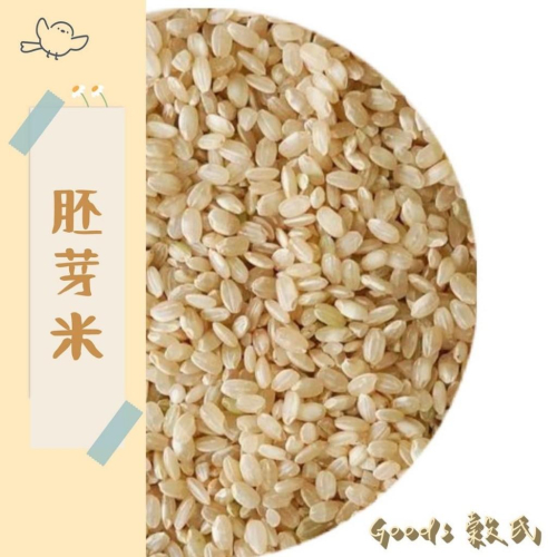 600g 1斤 胚芽米 胚牙米 胚芽糙米 食用米 台灣好米 五穀雜糧