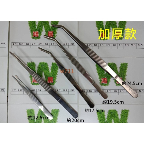 鑷子 夾子 多肉 不銹鋼鑷子 袖珍屋花盆園藝 水族 造景裝飾 苔蘚盆栽 微景觀 多肉植物 工具 w711鴻