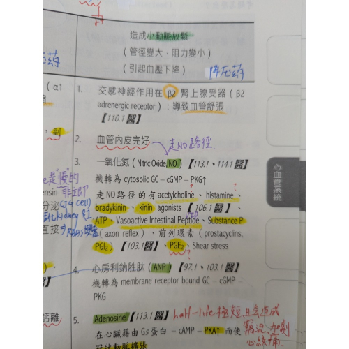 雅詩蘭黛潤唇膏