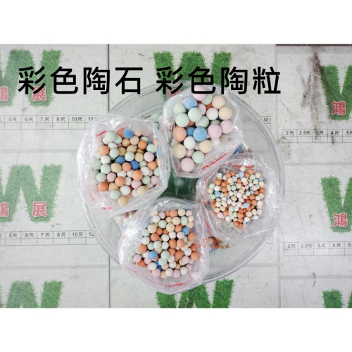 彩色陶粒 100g 彩色鋪面 彩色陶石 鋪面裝飾 水耕栽培介質 陶碳土 陶碳球 多肉土 多肉鋪面 多肉介質 w711鴻展