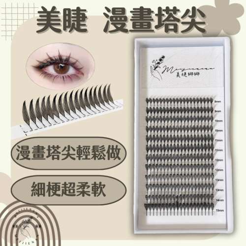 現貨 漫畫塔尖 中式美睫 美睫 漫畫睫毛 朵毛 便利花超人氣款 現貨秒發 假睫毛 睫毛材料美睫娜娜