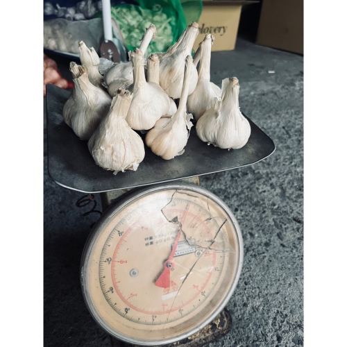 可用券?️ 雲林蒜頭? /斤