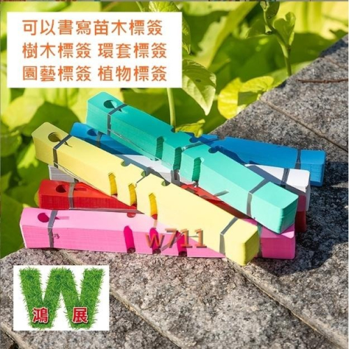 標示 標簽 標籤 苗木 標示牌 樹木標簽 環套標簽 園藝標簽 植物標簽（20張）w711鴻展