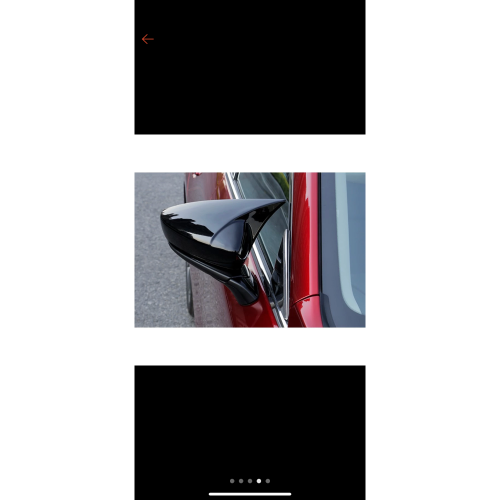 汽車牛角後照鏡