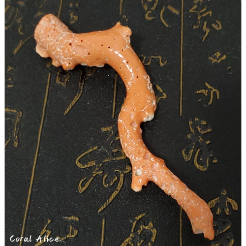 ?Coral珊寶手作-天然momo珊瑚自然枝(蟲體) 10.6cm CO2P1-921