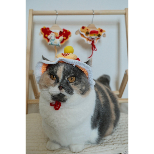 新年元寶帽子