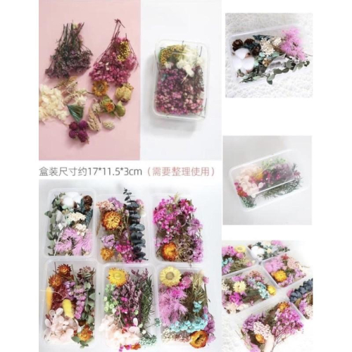 乾花永生花、diy乾花包 、永生花材料包、乾燥花、花材料包、花素材、花勞作、花