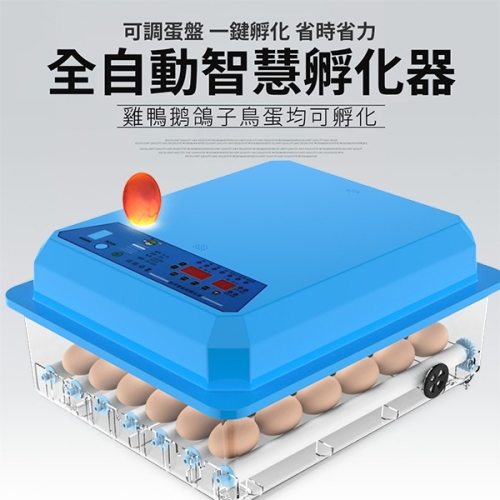 現貨一日達 孵化箱 36枚雙電源可接12V自動控溫 全自動家用型小雞孵化器 110V孵化機小型孵蛋器 免運