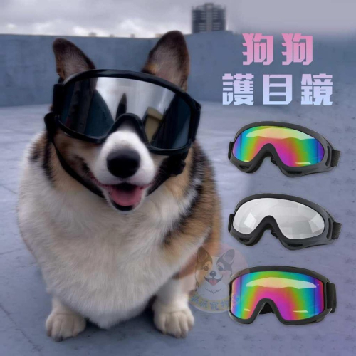 超帥? 寵物護目鏡 狗狗護目鏡 狗狗眼鏡 寵物眼鏡 大狗寵物配件大型犬中型犬柯基薩摩耶邊牧黃金哈士奇防風防沙護目鏡鏡框