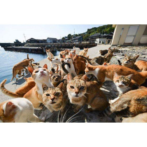 專屬賣場